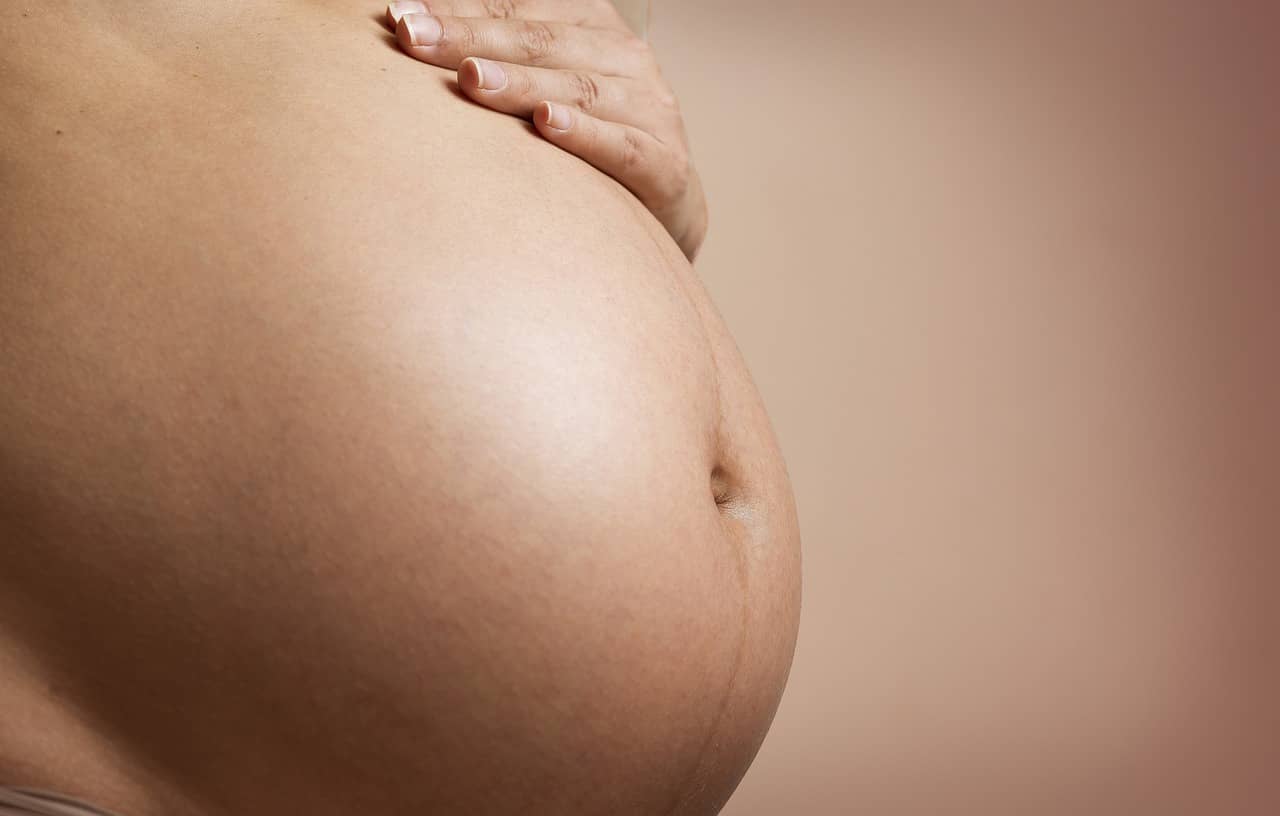 pregnant, gestation, pregnant pictures-2635034.jpg